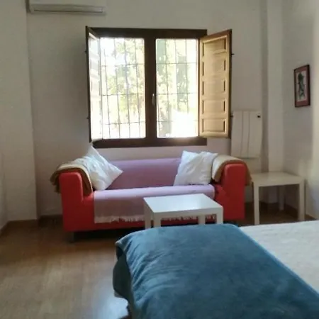 Apartment Estudio En Albaicin 1a,